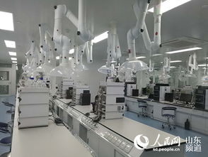 山東羅欣制藥 以創(chuàng)新為翼，打破國(guó)外壟斷，引領(lǐng)醫(yī)藥研發(fā)與國(guó)際水平同步前行